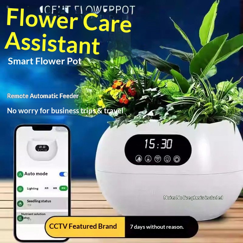 Maceta Inteligente con IA, Rie - Electronic Gift reseña y precio